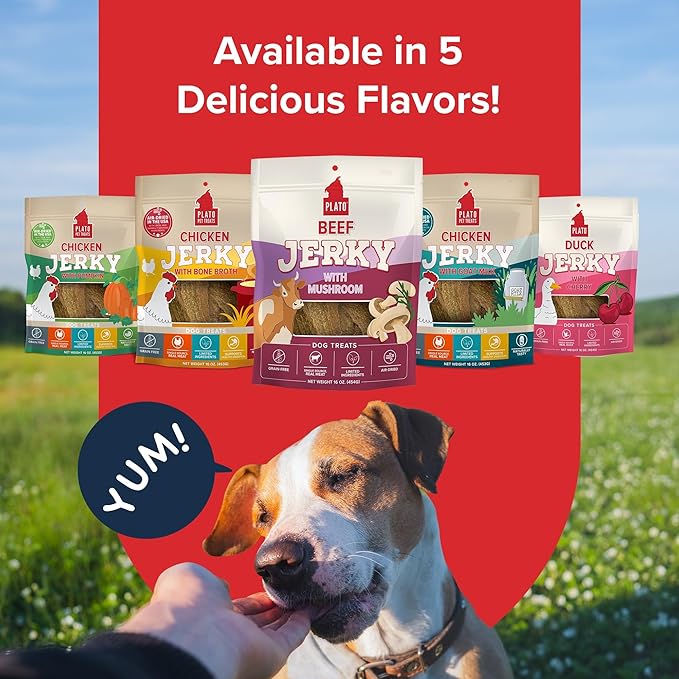 PLATO Pet Treats Jerky Dog Treats - Air-Dried Jerky for Dogs - Delicious, Real Meat Dog Treats - Grain Free - Supports Healthy Digestion - Beef Jerky with Mushroom 7oz