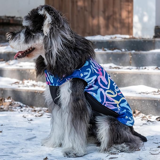 CuteBone Winter Reversible Dog Jacket with Leash Hole: Waterproof Windproof Soft Coats for Small Medium Large Dogs