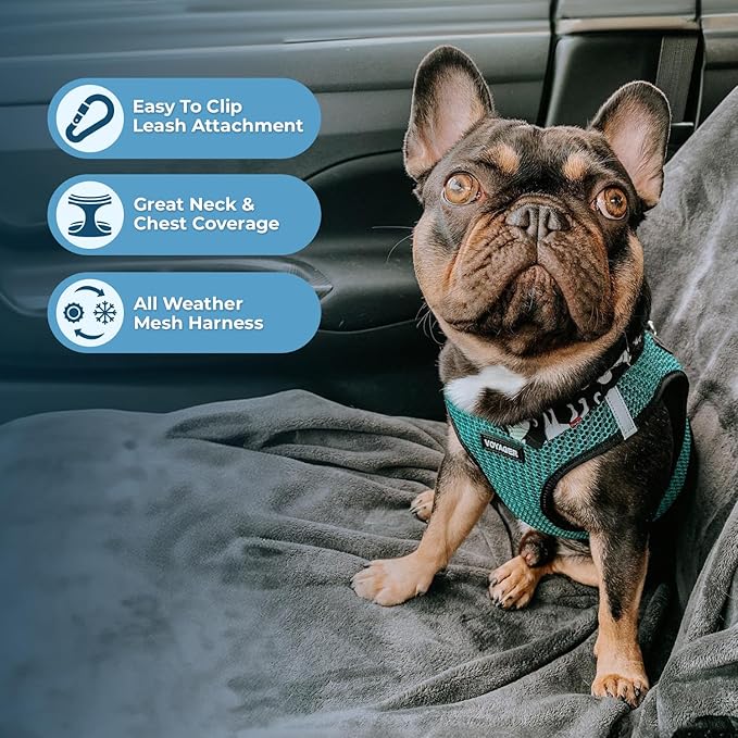 Best Pet Supplies Voyager Step-in Air Harness - All Weather Mesh, Reflective, No Pull Harness for Dogs, Cats - Secure with Hook & Loop Fastener, Buckle, Double D-Rings - Tone, M