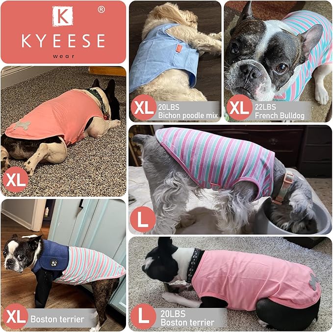 KYEESE 2Pack Dog Shirts Small Tee Soft for Small Dogs Striped T Shirt Lightweight Sleeveless Vest Cotton Tank Top Clothes, Large,Purple+Orange Striped