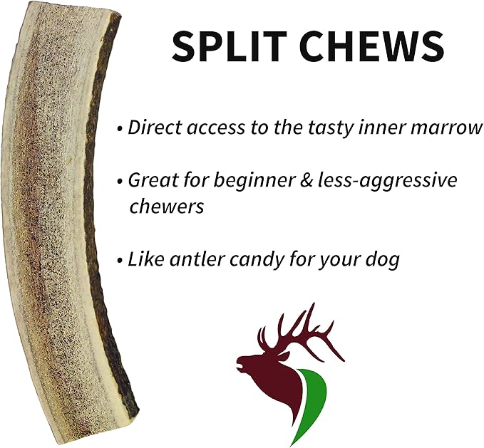 Small Split Twin Pack (for 0-20 lb Dogs and Puppies) Premium Grade Elk Antlers for Dogs (2 Pieces) Sourced in The USA