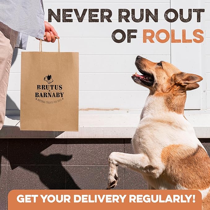 Premium Beef Cheek Rolls for Dogs 10-12" - (3-Pack), Peanut Butter Flavored Long Lasting, Safe & Natural Rawhide Alternative Chews, Ideal for Large Dogs & Aggressive Chewers, Supports Dental Health