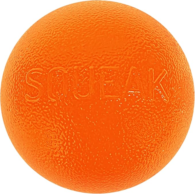 Outward Hound by Planet Dog Squeak Ball Bouncy Fetch Dog Toy, Orange