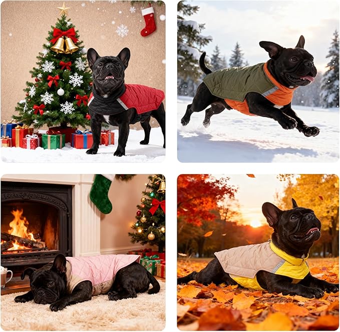 Reversible Waterproof Dog Coat - Adjustable Winter Jacket for Small to Large Breeds, Warm Cold Weather Apparel for Medium Dogs (Khaki & Yellow, Small (Pack of 1))