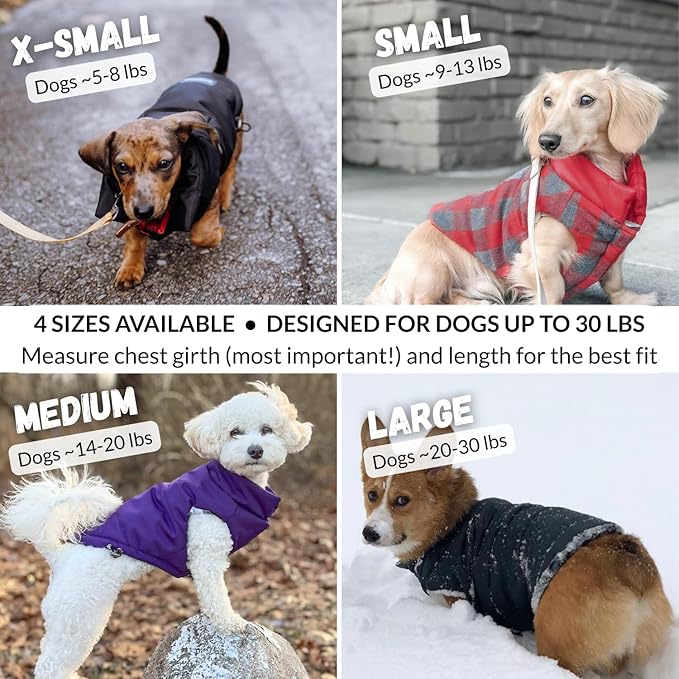 DJANGO Reversible Puffer Dog Coat – Warm Winter Dog Jacket & Water-Repellent Insulated Dog Coat with Harness Hole, Windproof, Adjustable Fit Vest for Small & Medium Dogs, Dachshunds – Black, Large