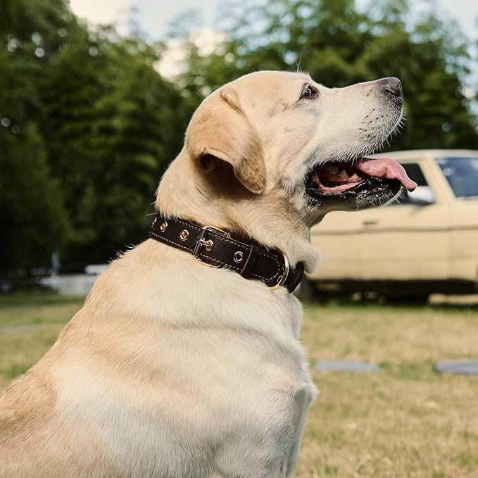 Dog Collar, Leather Dog Collar with Adjustable Sturdy Metal Buckle,Heavy Duty Dog Collar for Walking, Hiking, Training, Hunting (Brown,L:18.6"-25.8" Neck)