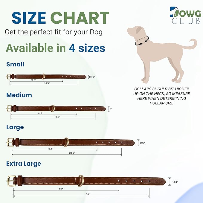 Genuine Leather Dog Collar | Full Grain, Heavy Duty, Comfortable, Padded, Strong | Best for Pups, Small, Medium, Large & XL Breeds (Small (Fit Neck Size 11.5"-14.5"), Tan)