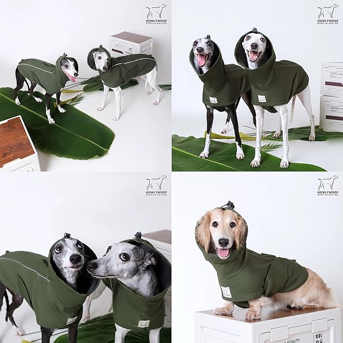 Waterproof Dog Raincoat, Hooded Raincoat for Dachshund Whippet Small Medium Large Dogs, Adjustable Dog Rain Coat Jacket (02 (Dachshund 10-16lbs))
