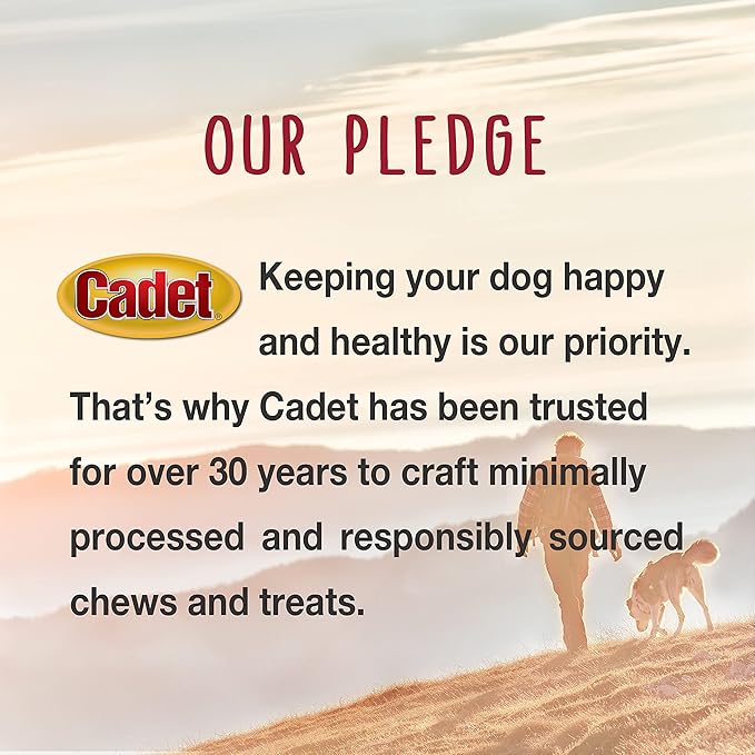 Cadet Bully Hide Sticks for Large Dogs – All-Natural Beef Pizzle, High Protein, Low Fat, Long-Lasting, Grain & Rawhide-Free Dog Chews for Aggressive Chewers, Large (8 Count)