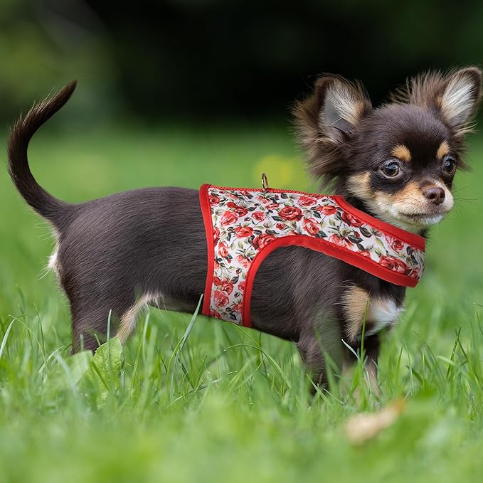 Mile High Life Dog Harness, Air Mesh Floral Vest Harness for 20 lbs Small Dogs & Cats, Easy Get on Adjustable Easy Closures Both Neck and Chest(Red Rose, S Chest 16"-18")