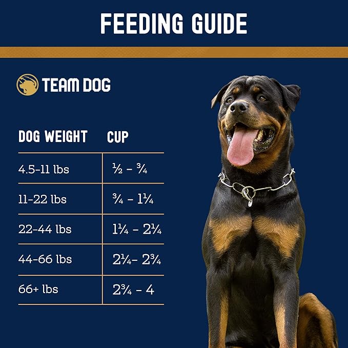 Team Dog Essential Blend Chicken & Sweet Potato | Sensitive Stomach Dog Food Small Breed & Large Breed | Gluten Free, GMO Free, No Corn, Wheat or Soy | All Life Stage Formula (33 lb Dry Dog Food)