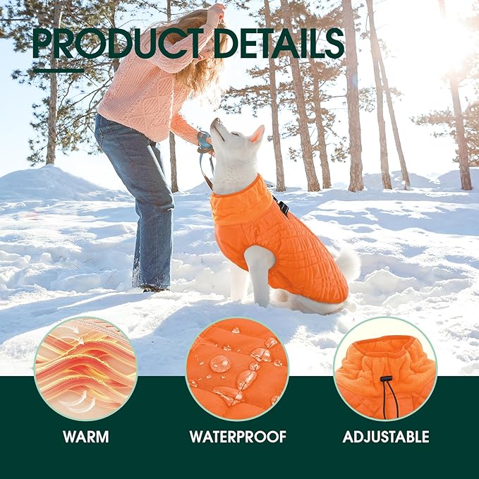 Kuoser XXXL Thermal Dog Suit | Extra Giant Apparel for St. Bernards | D-Ring Safety System Prevents Escape During Storms, Orange XXL