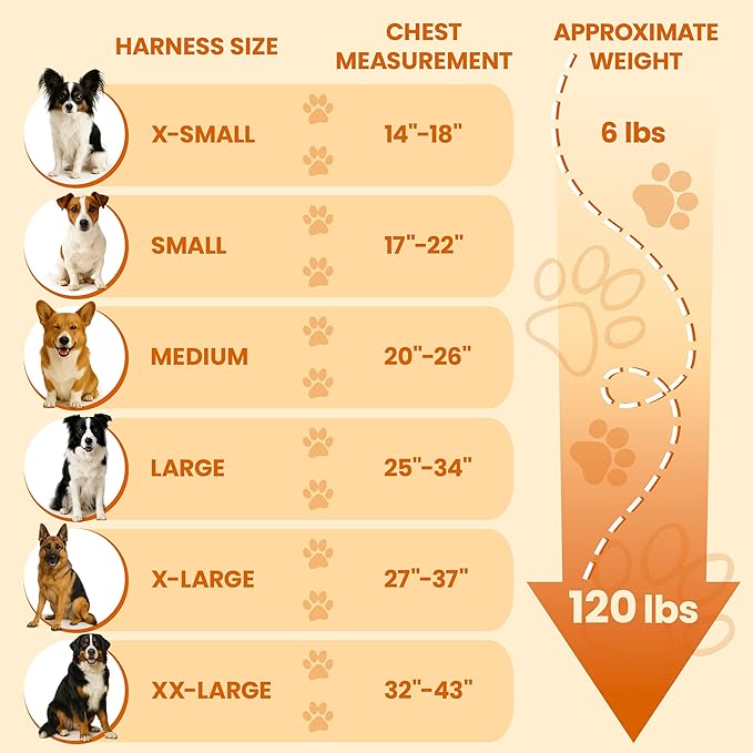 Bark Appeal Aqua Blue No-Pull Dog Harness for Large to Extra Large Sized Pets – Adjustable, Reflective Vest with 3 Leash Clips for Added Control, Easy Walks & Training – XL