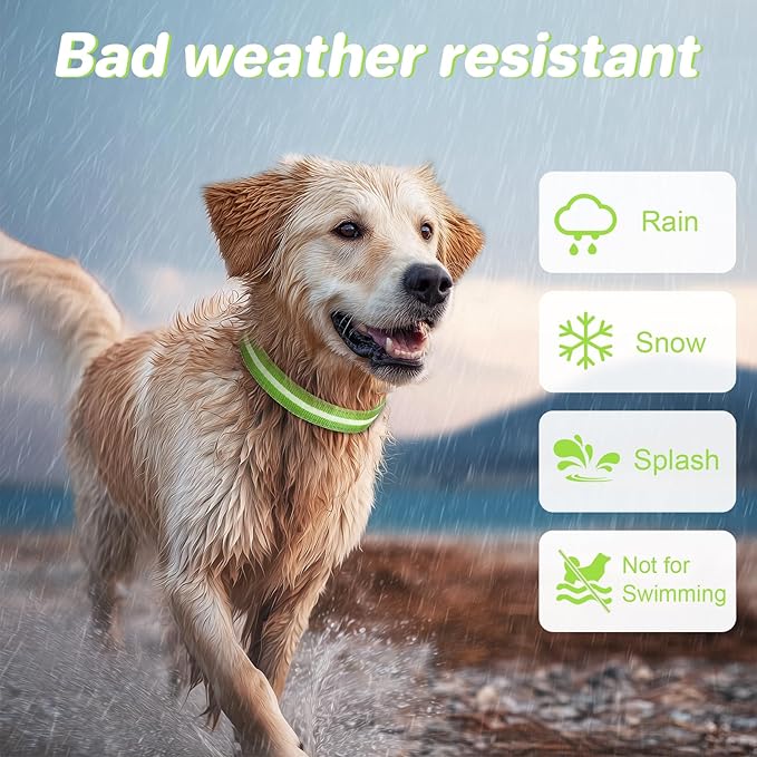 PcEoTllar Light Up Dog Collars, Led Dog Collar, Rechargeable, Night Walking, Waterproof, Glow in The Dark Dog Collars Light for Large Small Medium Dogs, Green l