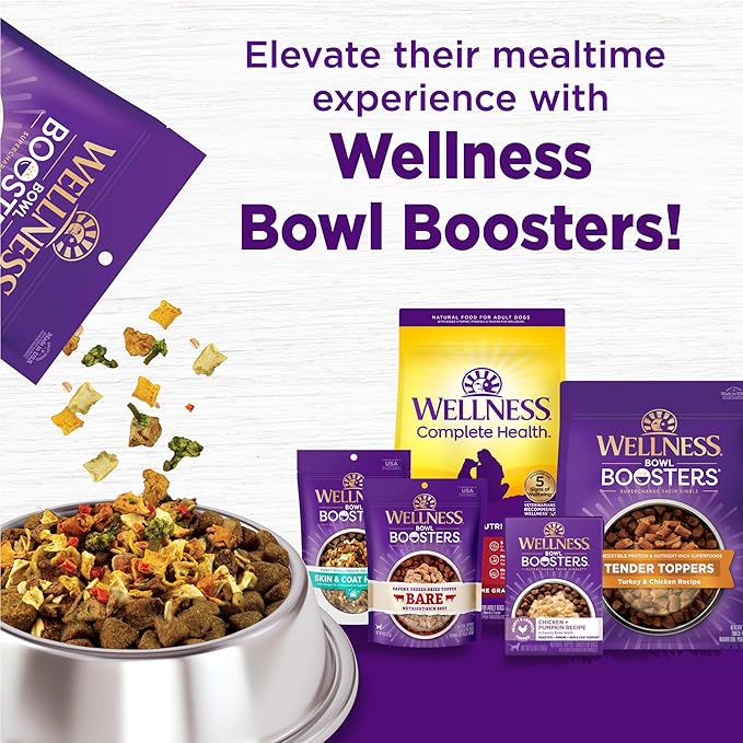 Wellness Complete Health Dry Dog Food with Grains, Natural Ingredients, Made in USA with Real Meat, All Breeds for Adult Dogs (Chicken & Oatmeal, 15-Pound Bag)