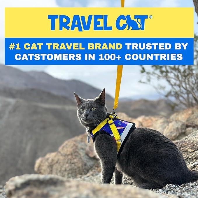 Travel Cat Harness and Leash Set - Adjustable Fit Mesh Harness and Reflective Strap - Comfort Walking Vest for Kitten for Outdoor Walking, Hiking (Large, 90s Cat)