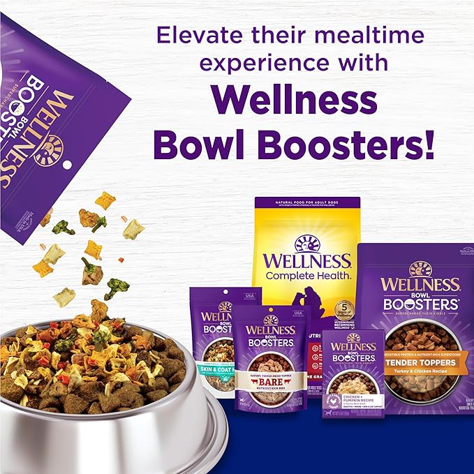 Wellness Natural Pet Food Complete Health Natural Dry Large Breed Puppy Food, Chicken, Salmon & Rice, 30-Pound Bag