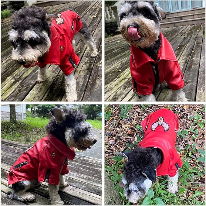 Lovelonglong Cool Dog Leather Jacket, Warm Coats Dogs Windproof Cold Weather Coats for Large Medium Small Dogs with Eagle Embroidery Red XXL