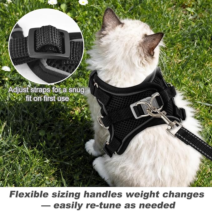 Kitten Cat Harness and Leash Set, Escape Proof Soft 4-Adjustable Cat Walking Vest Harness, Reflective Strips in Harness for Kitty Puppy Bunny Car Travel, with Car Seatbelt Leash (Black, XXS)