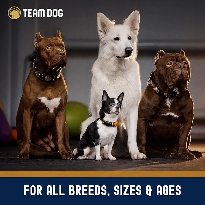 Team Dog Essential Blend Duck & Lamb Dog Food with Whole Oats | Sensitive Stomach Dog Food | Gluten Free, GMO Free, No Corn, Wheat or Soy | All Life Stage Formula (33 lb)