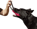 Dingo Gear French Linen tug Toy for Dog, Dog Bumper for Training, Agility, tug of war, Dog bite Pillow for Strong Dog, 1handle 6" Pink S00307