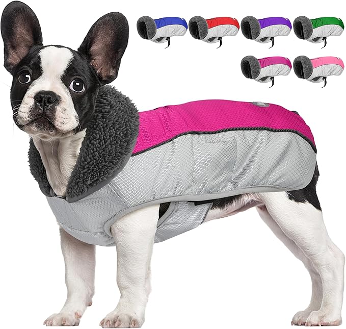 Dog Coat, Waterproof Ripstop Dog Winter Jacket with Leash Hole, Reflective Adjustable Warm Pet Fleece Snow Sweater for Small Medium Large Dogs - Rosy Red, XL