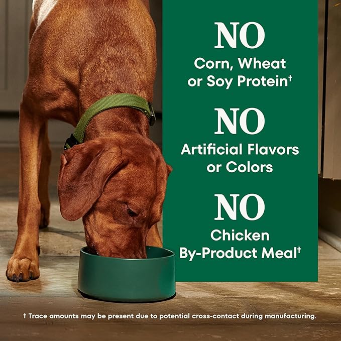 Nutro Natural Choice Chicken & Brown Rice Large Breed Senior Dog Food Dry Recipe, 30 lb. Bag