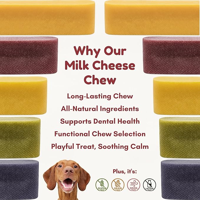 Majestic Pet Himalayan All-Natural Yak Cheese Dog Chews Made with 100% Cows Milk- Long Lasting Dental Chew for Dogs - Healthy Pet Treats (Digestive & Immune Support, Large, 1 Pack)