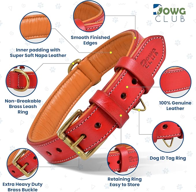 Genuine Leather Dog Collar | Full Grain, Heavy Duty, Comfortable, Padded, Strong | Best for Pups, Small, Medium, Large & XL Breeds (Small (Fit Neck Size 11.5"-14.5"), Red)
