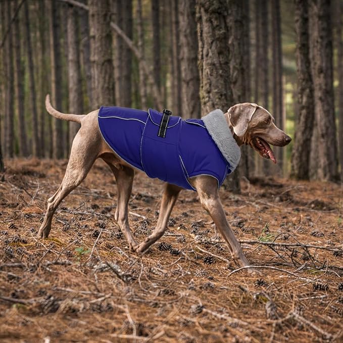 Lelepet Warm Dog Winter Coat Waterproof Dog Jacket with Adjustable Buckle & Leash Hole Reflective Pet Fleece Snowsuit Turtleneck Windproof Cold Weather Coats, Blue, XL