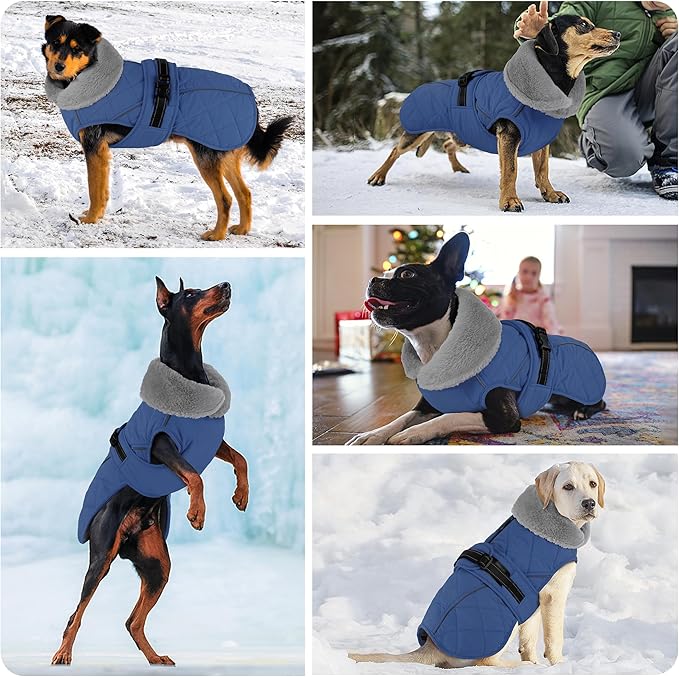 Dog Coat, Waterproof Dog Winter Jacket with Adjustable Buckle, Reflective Turtleneck Pet Snow Vest Warm Fleece Sweater for Small Medium Large Dogs - Blue, S