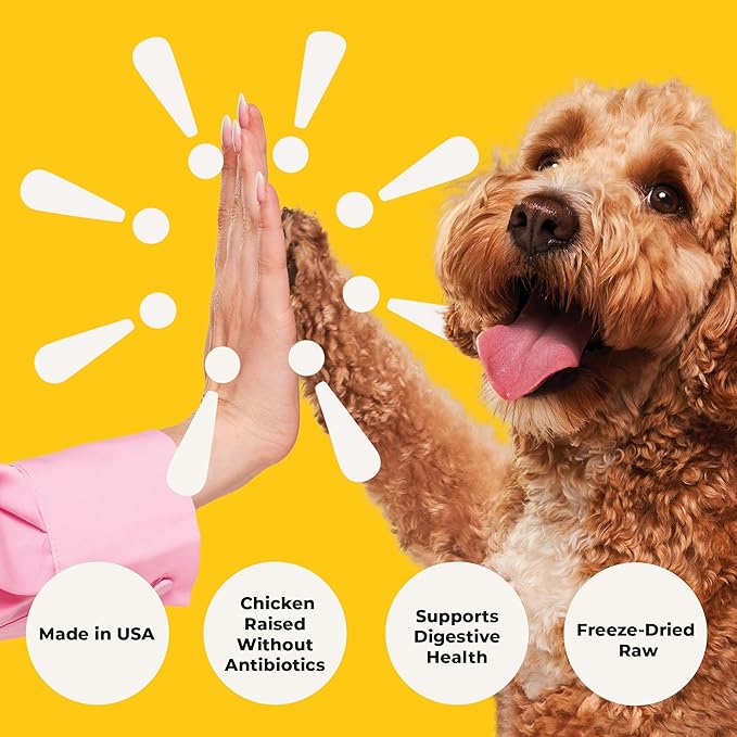 Chonky Chicken - Freeze Dried Raw Dog Food, Complete Meal, Real Cuts of Chicken for Training, Meal Topper, High Protein, 21g Per Cup, Made in The USA, 20oz Bag