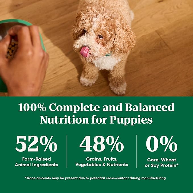 Nutro Natural Choice Chicken & Brown Rice Puppy Food Dry Recipe, 13 lb. Bag