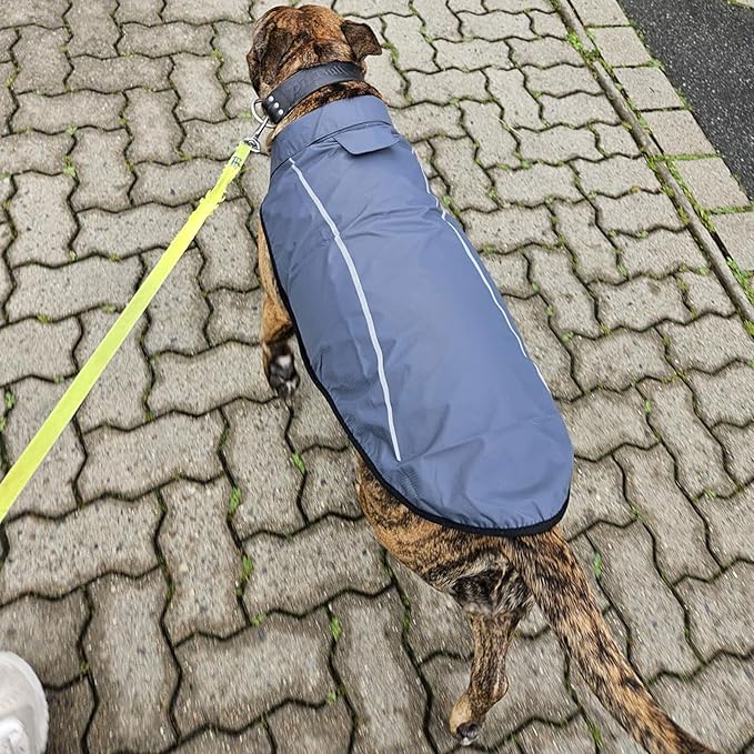 Mile High Life Dog Raincoat, Adjustable Waterproof Reflective Rain Jacket for Small Medium Large Dogs, Lightweight Breathable Pet Rain Coat with Leash Hole(Dark Gray,M Chest 26-32")