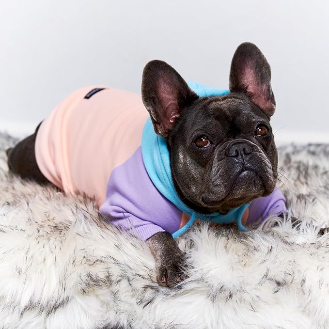 Tuff Pupper Dog Hoodie | Premium Quality 100% Organic Cotton | Ultra Soft Interior for Superior Comfort | Elastic Cuffs & Drawstring for Warmth | Stretch Fit Suitable for All Breeds (Pastel, S)