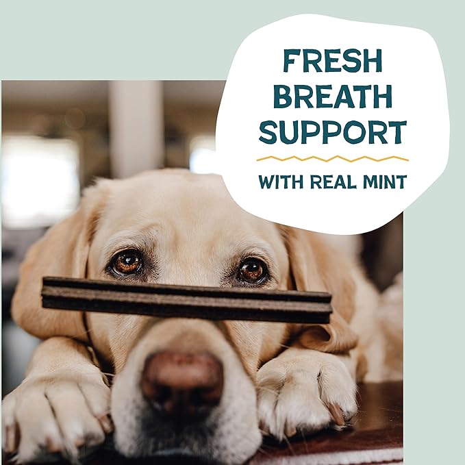 Shameless Pets Dental Treats for Dogs, Banana Bone-Anza (32 Sticks) - Supports Hip & Joint for Teeth Cleaning & Fresh Breath - Dog Bones Dental Chews Free from Grain, Corn & Soy