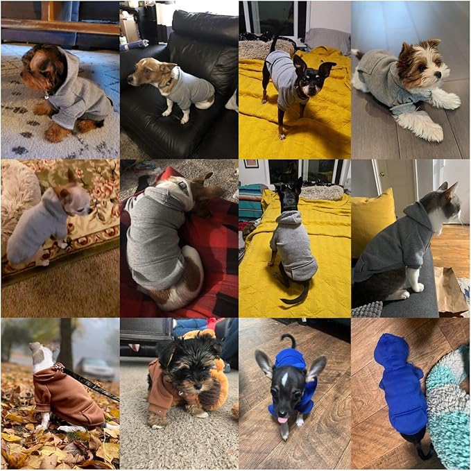 Jecikelon Winter Dog Hoodie Sweatshirts with Pockets Warm Dog Clothes for Small Dogs Chihuahua Coat Clothing Puppy Cat Custume (Grey, X-Small)