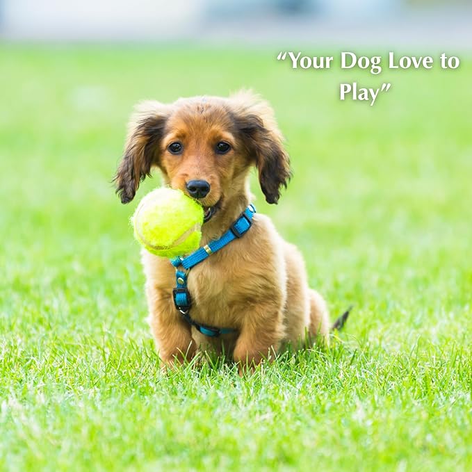 Automatic Dog Ball Launcher – 12 ETPU Balls & Bonus Collapsible Bowl, 3 Distance Settings (20ft/33ft/46ft), Smart Fetch Toy for Small & Medium Dogs, Indoor/Outdoor Use (Green)