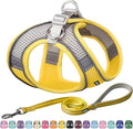 AIITLE No Pull Dog Harness and Leash Set, Step in Adjustable Pet Harnesses with Padded Vest for All Weather, Dog Leash with Soft Padded Handle, Easy to Put on Small and Medium Dogs Yellow S