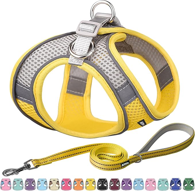 AIITLE Small Harness for Puppy with A Leash - Summer Dog Harnesses with Super Breathable Mesh, Reflective No-Pull Pet Vest for Outdoor Walking, Camping for XX-Small Dogs, Cats Yellow XXS
