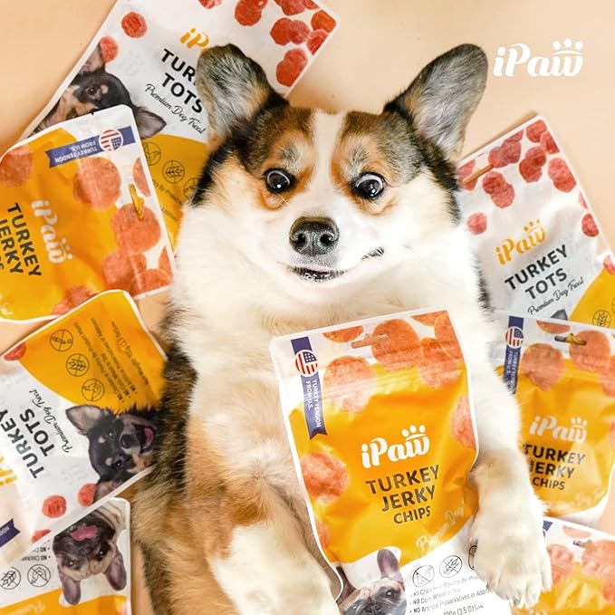 iPaw Turkey Chips Dog Treats for Puppy Training, All Natural Human Grade Dog Treat, Ingredient Sourced from USA, Hypoallergenic, Easy to Digest (Turkey Chips), 3 Packs