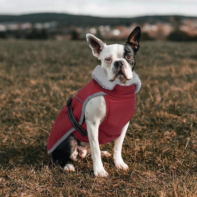 Lelepet Warm Dog Winter Coat Reflective Dog Jacket Fleece Vest Waterproof Windproof Cold Weather Coats with Adjustable Buckle Plush Turtleneck Pet Snowsuit for Small Medium Large Dogs,Chihuahua,XS