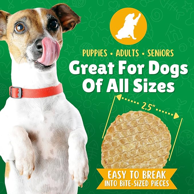 Chicken Chips Dog Treats – Made in USA, All Natural Chicken Jerky Treats, Grain-Free, High Protein, Single Ingredient, Crispy & Healthy Training Snacks for Dogs – 6 oz Jar