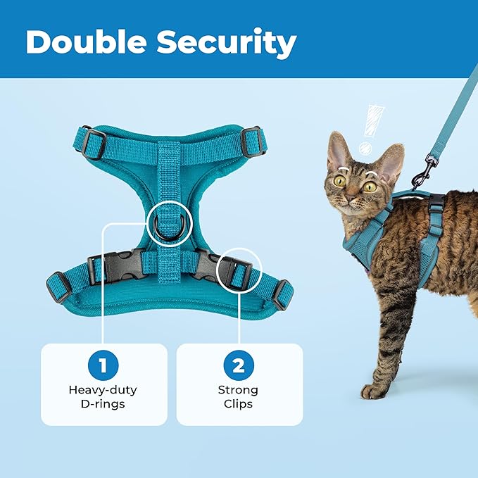 Voyager Escape Proof Cat Harness and Leash Set with Reflective Stitching, Neoprene Handle 5ft - Supports Small, Medium and Large Cats, Kittens for Walking by Best Pet Supplies - Turquoise, XXS