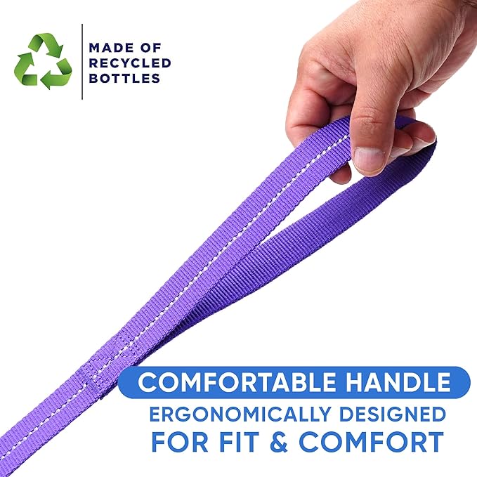 Pawtitas Recycled 6 FT Dog Leash with Reflective Stitched Thread - Purple, 6 ft