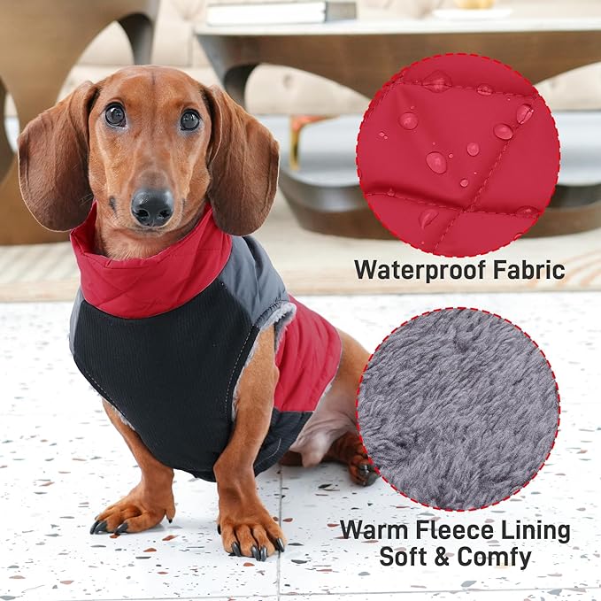 Warm Fleece Dog Coats for Small Dogs,D-Rings Waterproof Puppy Jacket for Cold Winter,Red M