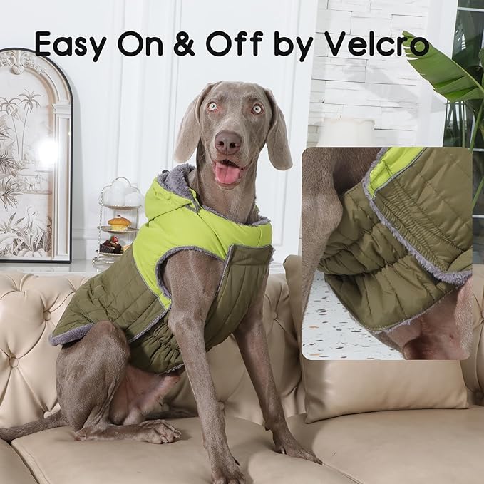 Detachable Hooded Dog Coat with Harness for Small Dogs,Super Warm Fleece Puppy Jacket for Cold Winter Doggie Coats,Green XS