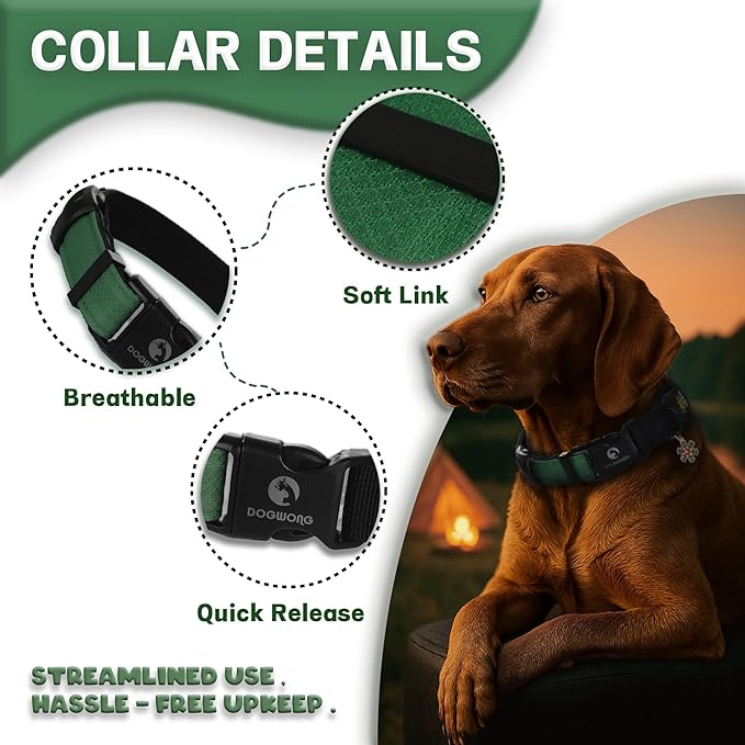 DOGWONG LED Dog Collar - Heavy Duty Light up Collars - Rechargeable Waterproof - Lighted Dog Collar for Night Walking, Hiking, Camping(Green,S)