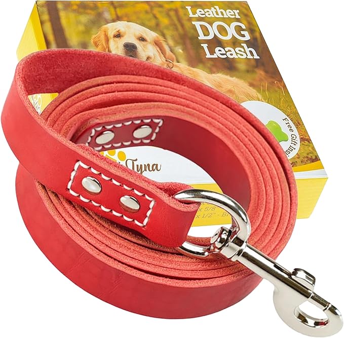 Leather Dog Leash 6 ft x 3/4 inch - Soft, Strong, Heavy Duty for Large & Medium Breeds - Dog Lead for Walking & Training (Red, L - 6 ft x 3/4 inch)