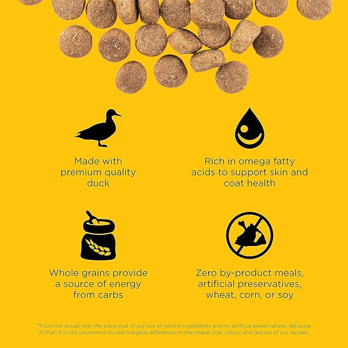 Go! Solutions Skin + Coat Care, Dry Dog Food, Duck Recipe with Grains, 22 lb Bag